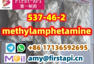 537-45-2,Methylamphetamine,methamphetamine,10