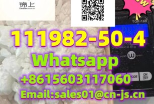 hight quality 111982-50-4   2-FDCK