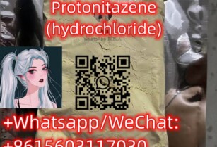 119276-01-6 Protonitazene (hydrochloride)