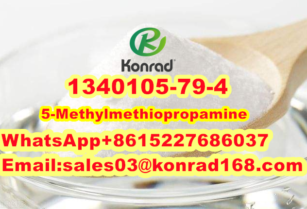 5-MethylmethiopropamineCAS:1340105-79-4