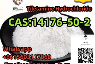 Best Quality  14176-50-2 Tiletamine Hydrochloride