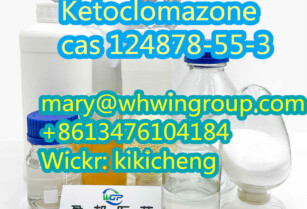 2-(2-Chlorophenyl)-2-nitrocyclohexanone cas124878-55-3 +86-13476104184