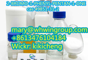 Safe shipping 2-BROMO-1-PHENYL-PENTAN-1-ONE cas 49851-31-2 +86-13476104184