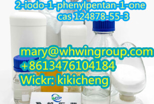 Safe Shipping 2-iodo-1-phenylpentan-1-one cas 124878-55-3 +86-13476104184