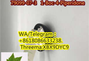 79099-07-3   1-Boc-4-Piperidone