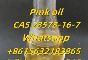 Factory supply pmk oil/powder cas28578-16-7