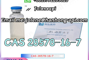 CAS 28578-16-7 PMK ethyl glycidate