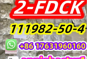 111982-50-4 2-FDCK 2FDCK，2fdck， DCK 2-Fluorodeschloroketamine，2fdck