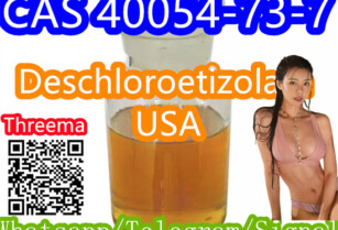 CAS 40054-73-7  Deschloroetizolam