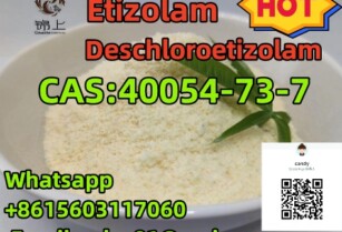 hot selling 40054-73-7 Deschloroetizolam