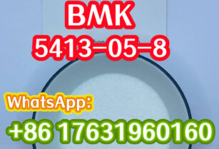 5413-05-8, New BMK,Ethyl 2-Phenylacetoacetate,99% Purity