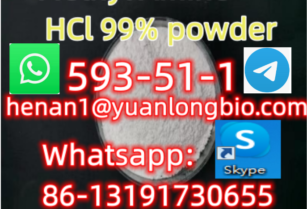 factory supply cas593-51-1 Methylamin Hydrochloride 99% with top quality