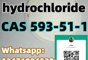 Methylamine hydrochloride CAS 593-51-1