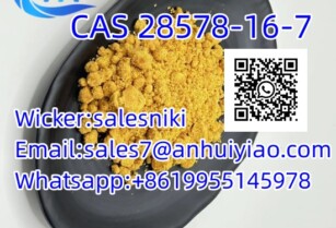 Free Sample High quality CAS 28578-16-7Powder