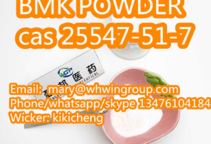 Safe shipping New BMK Powder cas 25547-51-7 +86-13476104184