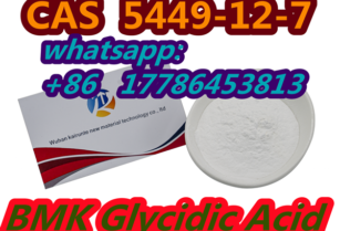 CAS 5449-12-7 BMK Glycidic Acid (sodium salt) powder china shipping Kairunte3 USA UK Canada