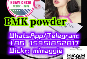 Top purity Diethyl(phenylacetyl)malonate，bmk，powder，bmk oil. 20230-59-6