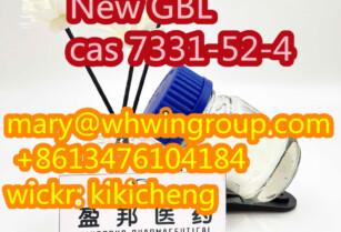 Safe Shipping New GBL cas 7331-52-4 +86-13476104184