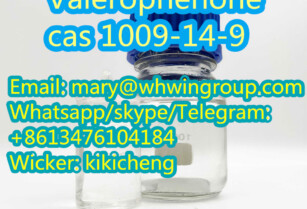 Safe Shipping Valerophenone cas 1009-14-9 +86-13476104184