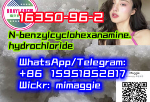 Competitive Price N-benzylcyclohexanamine.hydrochloride 16350-96-2