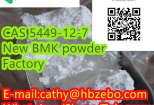 BMK CAS 5449-12-7 2-methyl-3-phenyl-oxirane-2-carboxylic acid