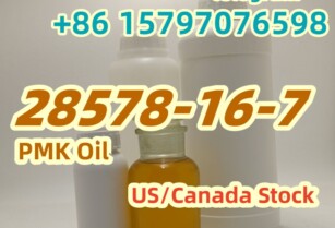 Sell PMK oil CAS 28578-16-7 High Purity PMK ethyl glycidate Factory Supply