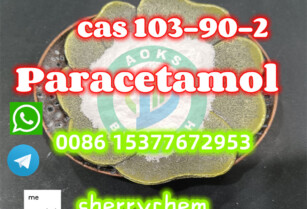 CAS 103-90-2 Paracetamol/4-Acetamidophenol with Best Price