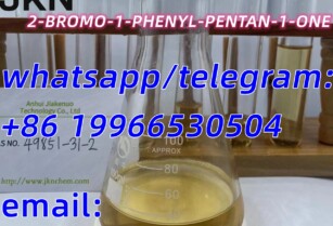 CAS 49851-31-2/2-BROMO-1-PHENYL-PENTAN-1-ONE