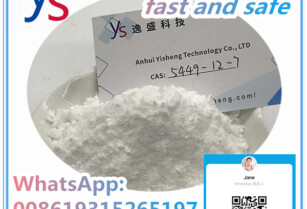 BMK Glycidic Acid Powder CAS: 5449-12-7 Bulk Product