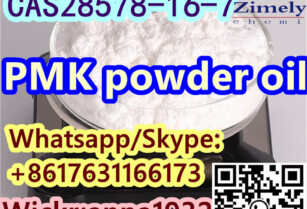 high PMK powder oil  CAS28578-16-7 quality door to door service factory supply