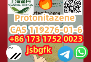 Protonitazene CAS 119276-01-6