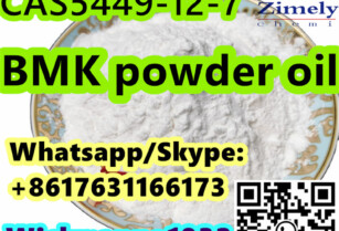 high BMK powder oil CAS5449-12-7 quality door to door service factory supply