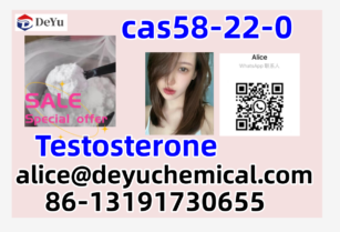 cas 58-22-0 Testosterone