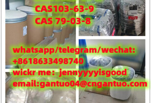 Mexico cas79099-07-3  Bromuro Borohidruro CAS103-63-9 Propio CAS 79-03-8