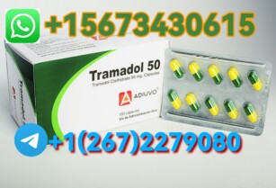 WHATSAPP+15673430615 TO ORDER XANAX ALPRAZOLAM WITH TRAMADOL 100MG PILS IN DUBAI