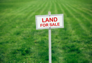 Agricultural Lands Available in Different Locations in Anambra (Call 08178567556)