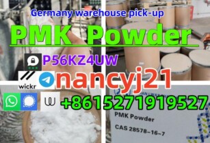 Germany warehouse Pmk glycidate 28578-16-7 13605-48-6 PMK powder wickr nancyj21