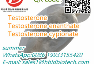 Testosterone Enanthate Powder CAS:315-37-7