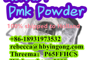 Pmk Powder to Holland CAS 28578-16-7 PMK ethyl glycidate Pmk powder ,Pmk Oil with best price