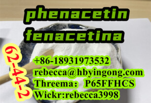 Phenacetin shiny powder CAS 62-44-2 with good price