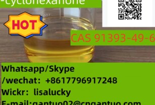 Spot supply Safety delivery CAS 91393-49-6 2-(2-Chlorophenyl)-cyclohexanone CAS 14176-50-2