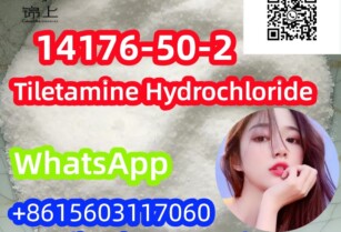 fast shipping Tiletamine Hydrochloride CAS 14176-50-2 