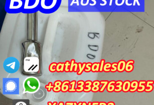 professional Supplier 14 b,Butanediol bdo cas 110-63-4 door to door safe delivery