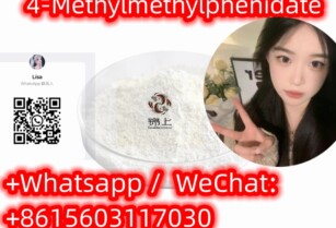 The cheapest price 4-MethylmethylphenidateCAS191790-79-1