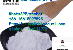 Diethyl(phenylacetyl)malonate CAS 20320-59-6