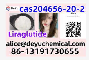 Chinese manufacturer supply CAS 204656-20-2,Liraglutide   with low price