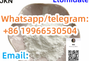 CAS 33125-97-2/Etomidate  high purity