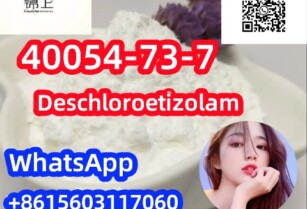 Deschloroetizolam CAS40054-73-7 