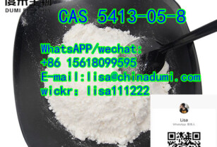 phenylbutanoate CAS   5413-05-8 BMK PMK