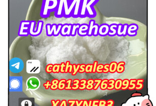 wholesales price CAS 28578-16-7 pmk powder factory